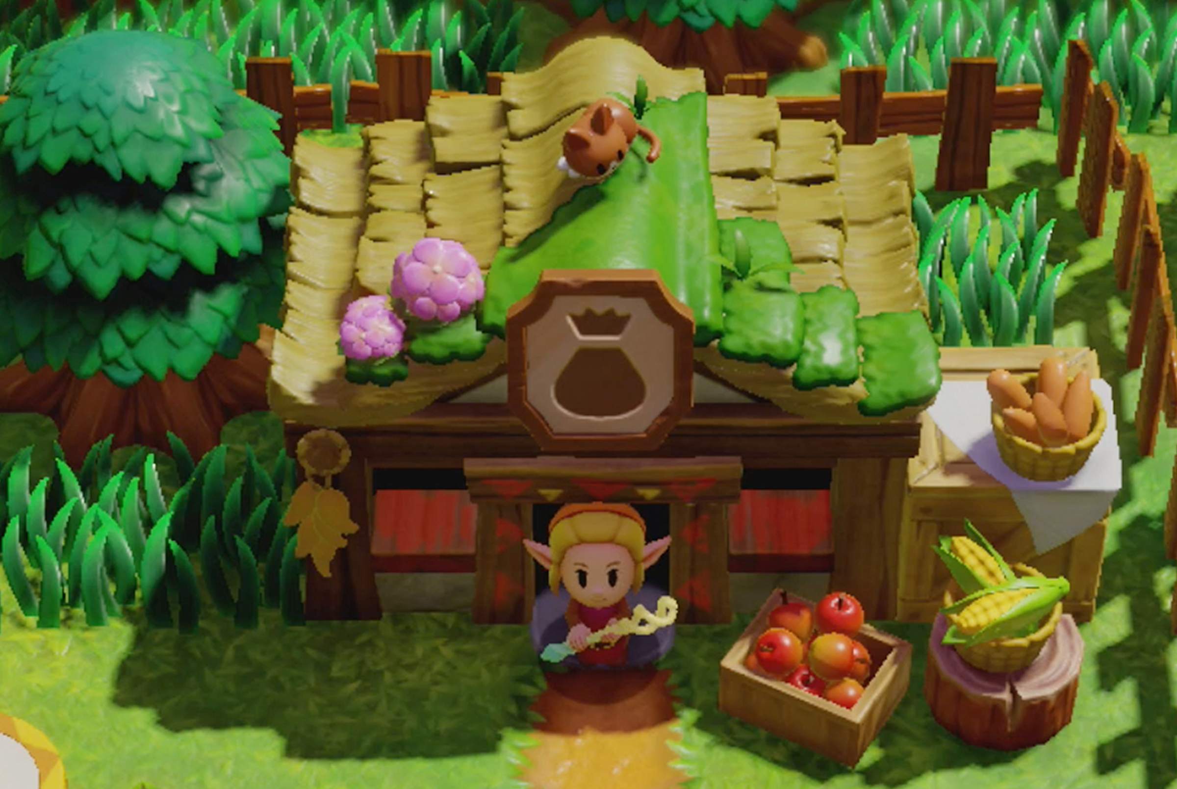 All shop locations in Echoes of Wisdom